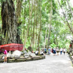 ウブド観光を100%満喫 しよう! 買い物•スパ天国にして芸術の王国