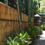 ウブドタクスでヨガ【 街中森林浴できるおすすめスタジオ】