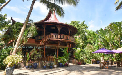 ヨガの聖地ウブド丨超有名スタジオ【ヨガバーン徹底的ガイド】