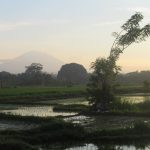 バリに火山噴火が心配で旅行しない理由