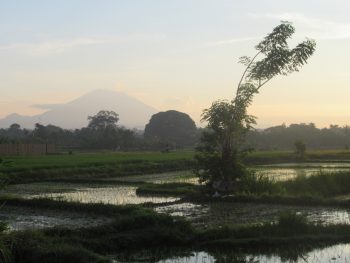 バリに火山噴火が心配で旅行しない理由