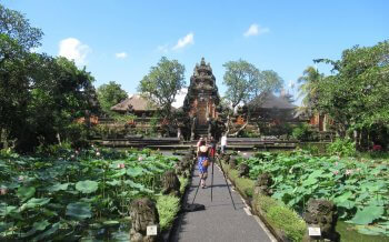 カフェロータス( cafe loutas) 極楽な眺めの睡蓮にタメイキ