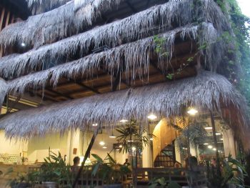 ウブド アルケミー 人気ベジタリアン·カフェへ行ってみよう！