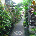 【チャンティック·スパ 】安い!上手い!ウブド街スパ Chantik Spa