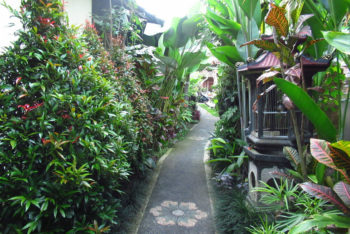 【チャンティック·スパ 】安い!上手い!ウブド街スパ Chantik Spa