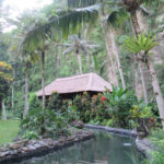 ロイヤル·ピタマハのアユン河パワースポットでヨガ体験したい!