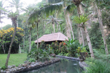 ロイヤル·ピタマハのアユン河パワースポットでヨガ体験したい！